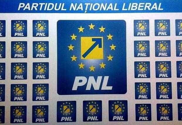 PNL i-a exclus din partid pe Ana Stan şi Gelu Tofan: „Nu dorim în niciun fel să afectăm parcursul politic al celor doi alături de PSD”