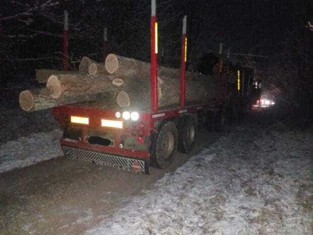 Dosar penal pentru transport ilegal de lemn