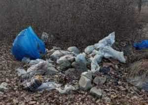 gunoi-e1643964809951