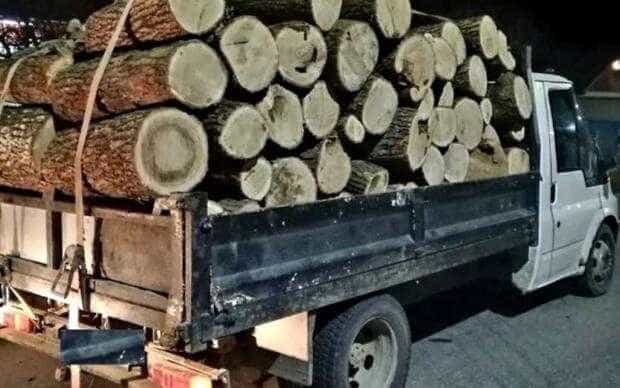 Călinești: Transporta lemne fără proveniență legală