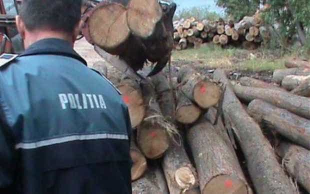Argeş. Transport ilegal de lemne