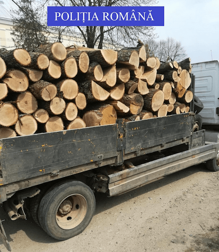 Lereștean amendat pentru transport ilegal de lemne