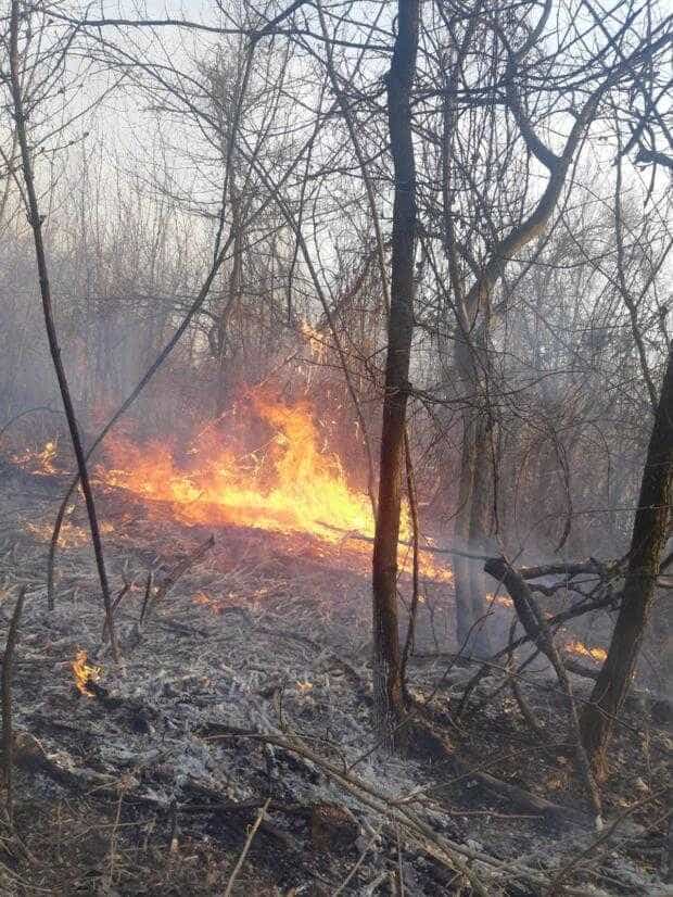 Argeș. Amenzi pentru incendiile de vegetație uscată