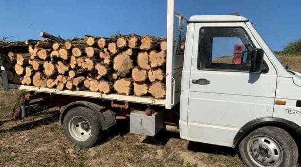 lemn