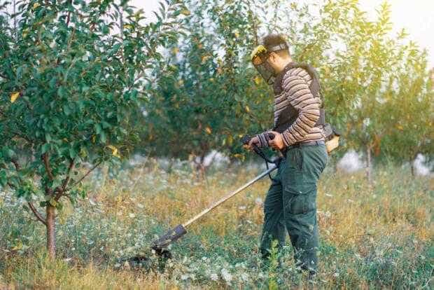 Young,Farmer,Gardener,Cutting,Grass,Weeds,In,The,Orchard,Plum