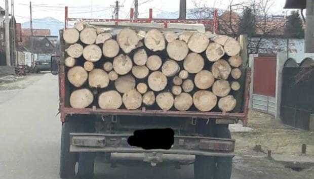 Opt argeșeni amendați pentru transport ilegal de lemne