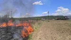 incendiuvegetatiestefanesti