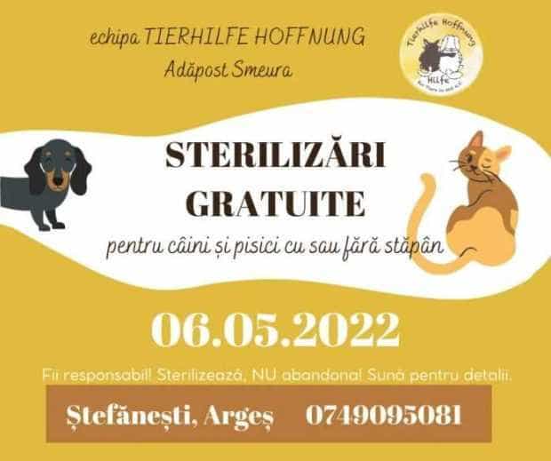 equal Put Christchurch Asociația TIERHILFE HOFFNUNG – Adăpostul de câini Smeura: Sterilizări  gratuite pentru câini și pisici la Ștefănești! - Jurnalul de Arges