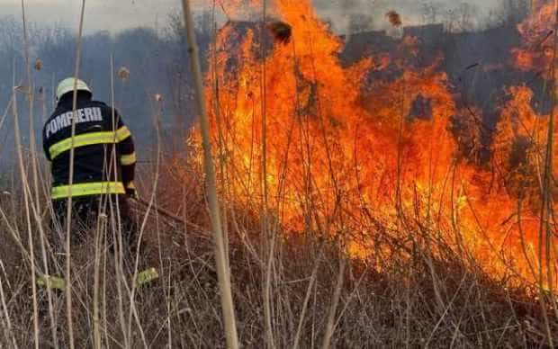Intervenții ale pompierilor argeșeni pentru stingerea arderilor necontrolate la vegetație