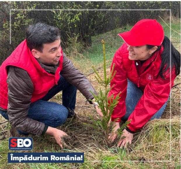 Împăduriri din PNRR. A fost aprobată prima schemă de ajutor de stat