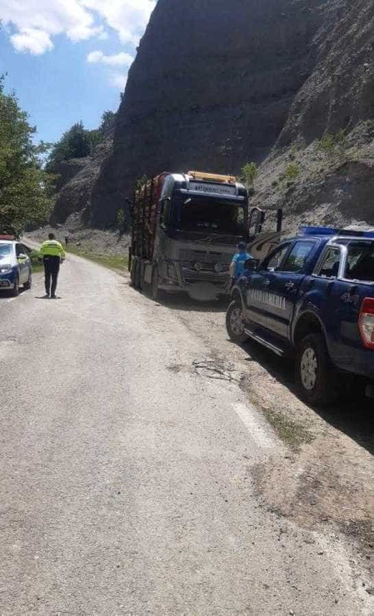 Dosar penal și camion confiscat pentru transport ilegal de lemne