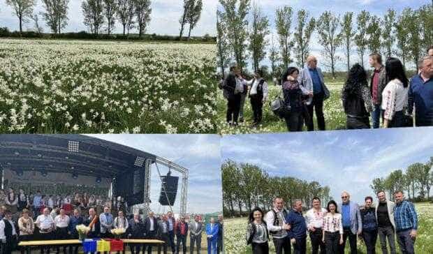 Sărbătoarea Narciselor. Mii de oameni s-au adunat în poiana din Negrași