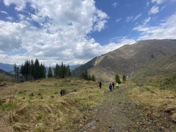 Conservation Carpathia și ING strâng donații pentru reconstrucția ecologică din zona Munților Făgăraș 