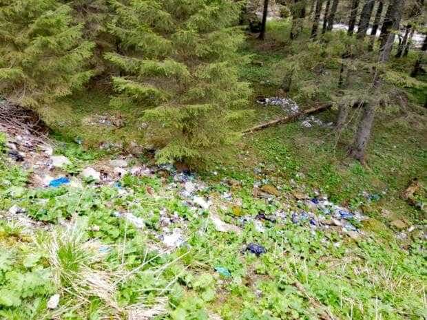 Iubitorii de natură sunt invitați la un eveniment de ecologizare a Transfăgărășanului