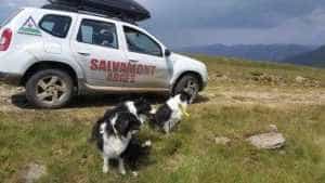 salvamont