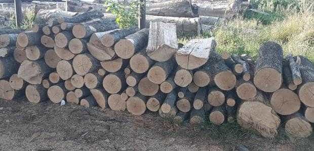 Berevoești: Societate cu activitate în domeniul silvic verificată și sancționată