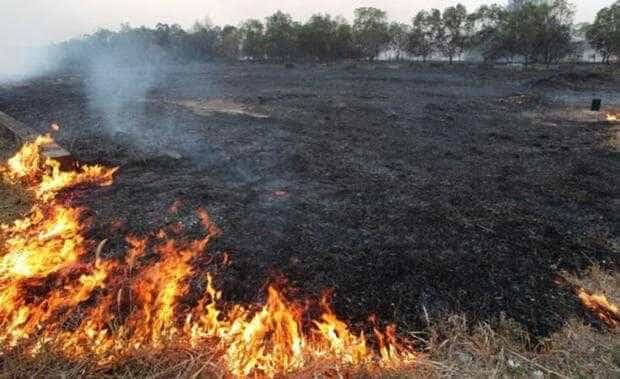 Incendii de vegetație uscată în Buzoești, Băiculești, Mioveni și Rociu