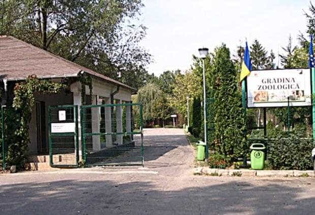 Intrare gratuită la Zoo Pitești