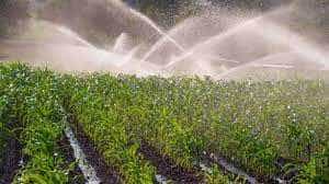 Până la sfârșitul lui septembrie, Ministerul Agriculturii va deconta 50% din cheltuielile cu energia pentru irigații