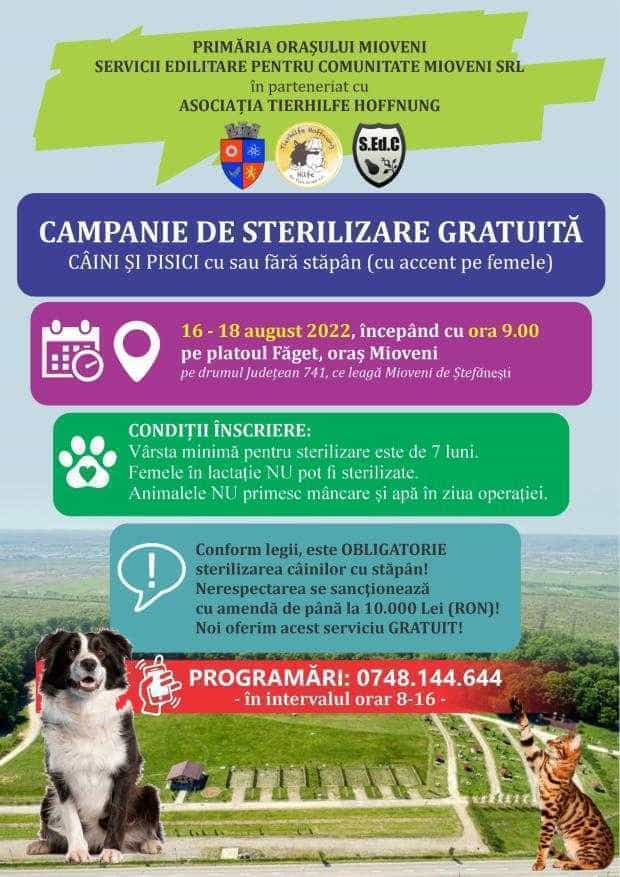 SEdC Mioveni anunță o nouă campanie de sterilizare gratuită a câinilor și pisicilor￼