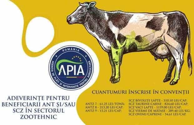 APIA: Se eliberează adeverințe pentru fermierii crescători de animale care vor credite bancare