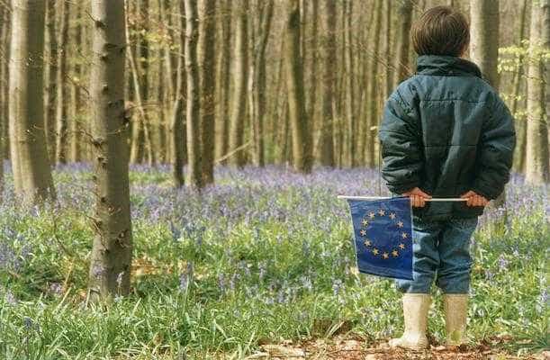 Păduri: Comisia se consultă cu privire la noul cadru al UE pentru monitorizarea pădurilor și planurile strategice