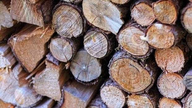 O nouă metodă de furat lemne din codrii Argeşului – maşinile de gunoi