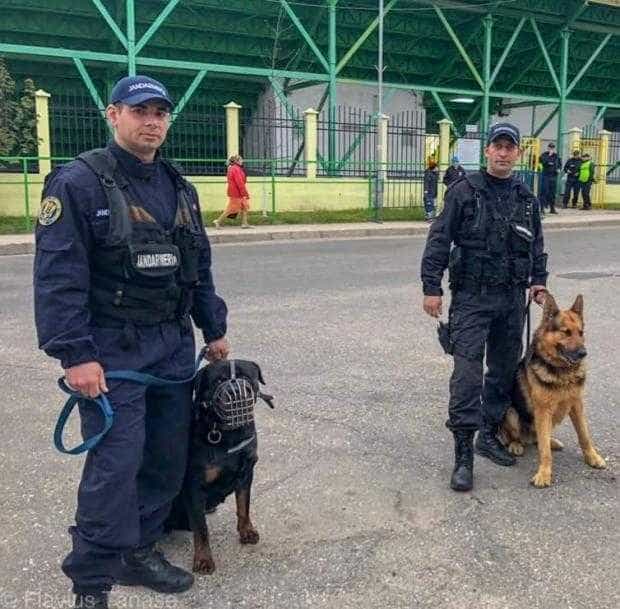 Peste 100 de jandarmi vor asigura măsuri de ordine publică la meciul dintre CSA Steaua-Chindia