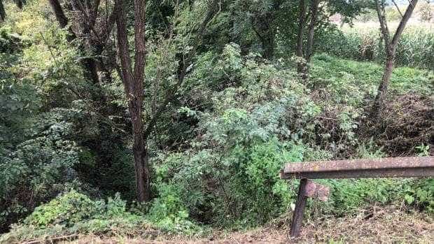 Bărbatul blocat într-o râpă a fost transportat la spital