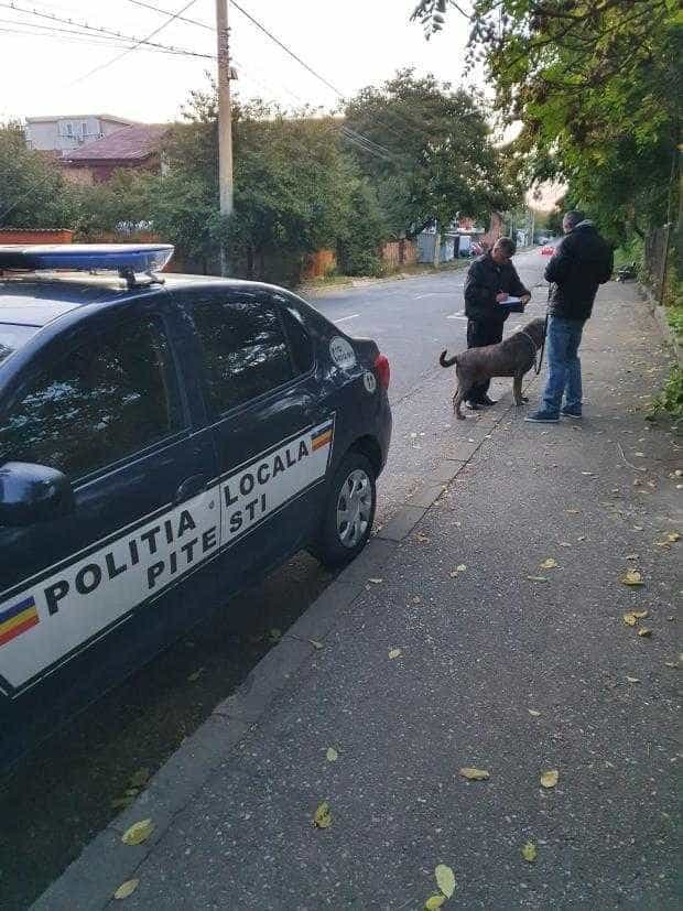 Amenzi pentru cei care nu curăță după animalele lor de companie, în spațiul public 