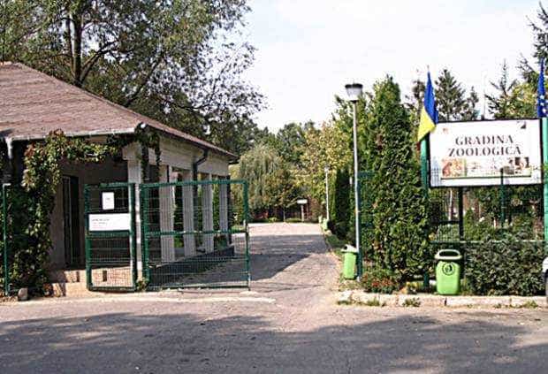 Care este programul de vizitare la ZOO Pitești, pe 23-24 ianuarie