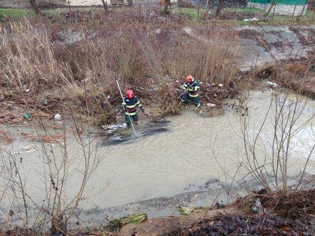 Video. Pompierii au scormonit, din nou, după bărbatul dispărut în pârâul Valea Iașului