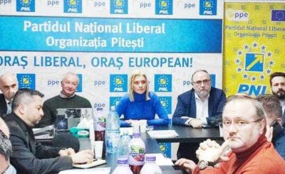 3-alina-gorghiu-biroul-politic-judetean-pnl-arges-1487