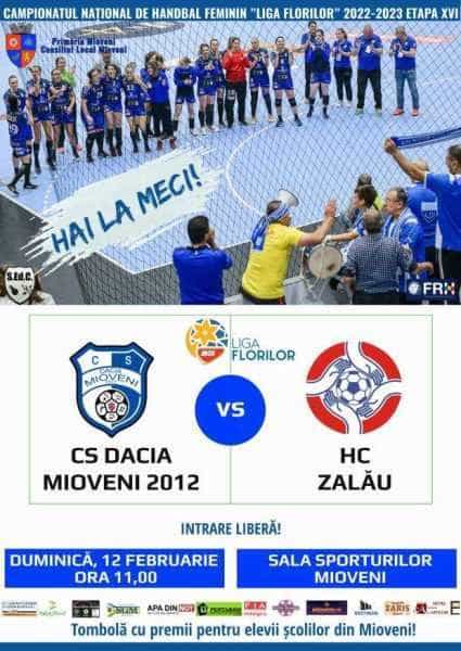 CS Dacia Mioveni – HC Zalău, duminică, la Sala Sporturilor Mioveni