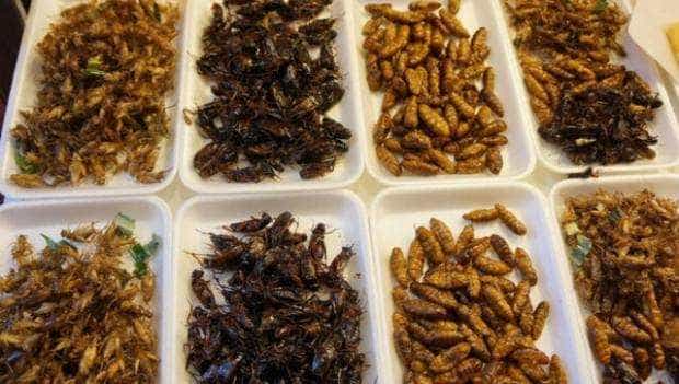 <strong>ANPC vrea standuri separate pentru alimentele care conțin specii de insecte</strong>