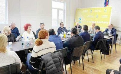 3-pnl-alina-gorghiu-sedinta-bpj01-1489