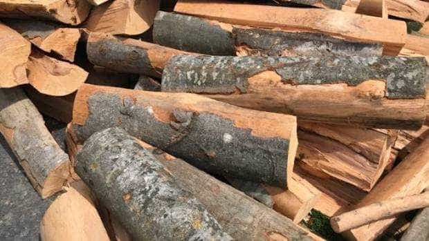 Bărbați din Davidești sancționați pentru transport ilegal de lemne