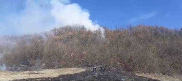 VIDEO. Incendiu de vegetație la Călinești