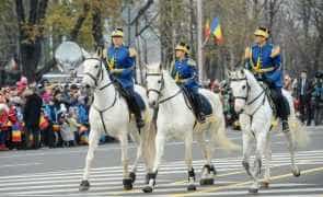 Defilări cu cai și câini de ziua Jandarmeriei, la Pitești