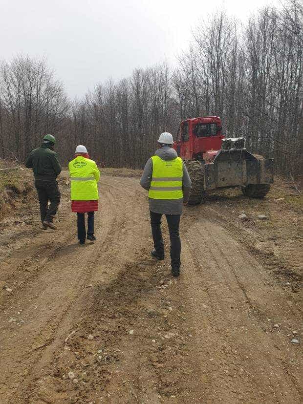 Angajatorii din domeniul forestier, verificați de ITM Argeș