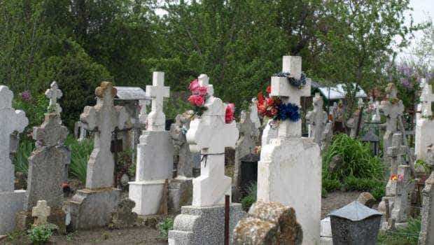 Pitești. Cimitirul ”Sf. Gheorghe” e plin de țânțari! „Ne-au ciuruit!”