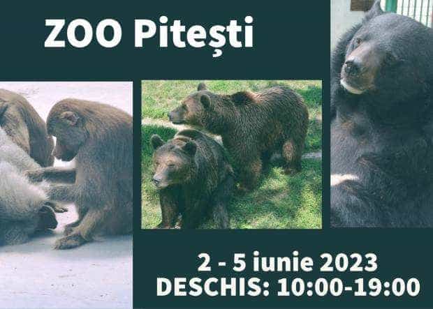 Program normal la Grădina Zoologică Pitești, de Rusalii