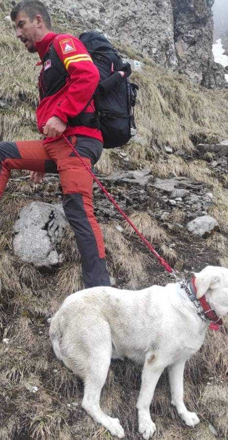 Intervenție a salvamontiștilor pentru salvarea unui câine de companie căzut într-o prăpastie