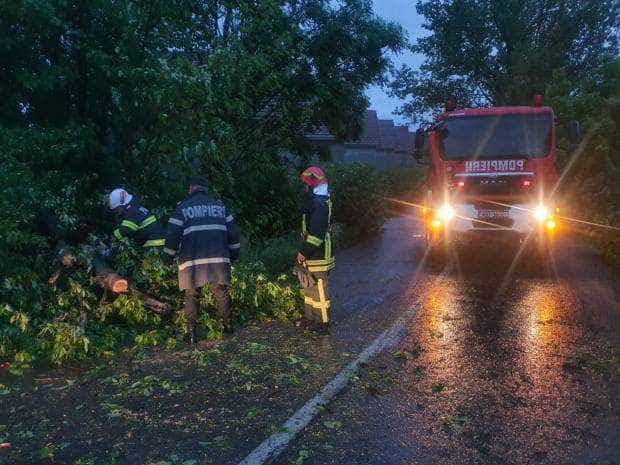 Un copac a căzut pe şosea la Valea Danului, în Argeş
