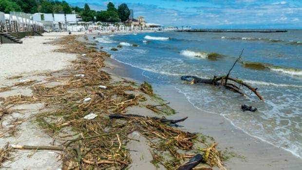 Plajele din Odesa, închise. Au fost găsite în apă urme de salmonella, ouă şi larve de viermi