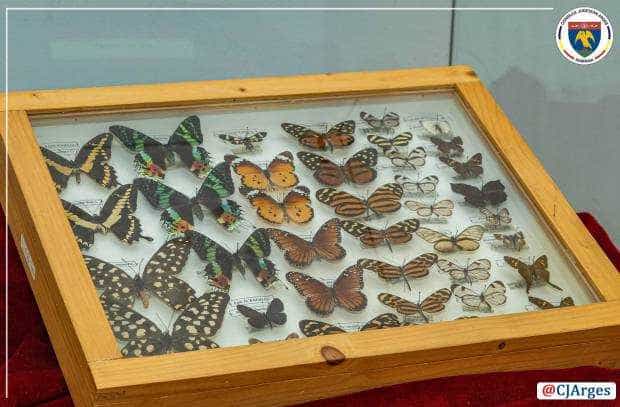 Fluturi din Africa, Asia, America de Nord și de Sud, la Muzeul Județean Argeș