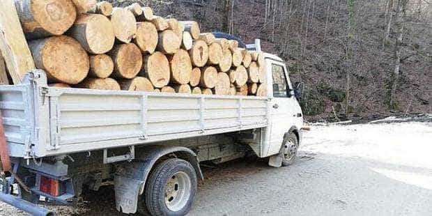 Transporturi ilegale de lemne în Argeș depistate de polițiști