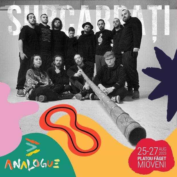 Trupa Subcarpați revine la Analogue Festival