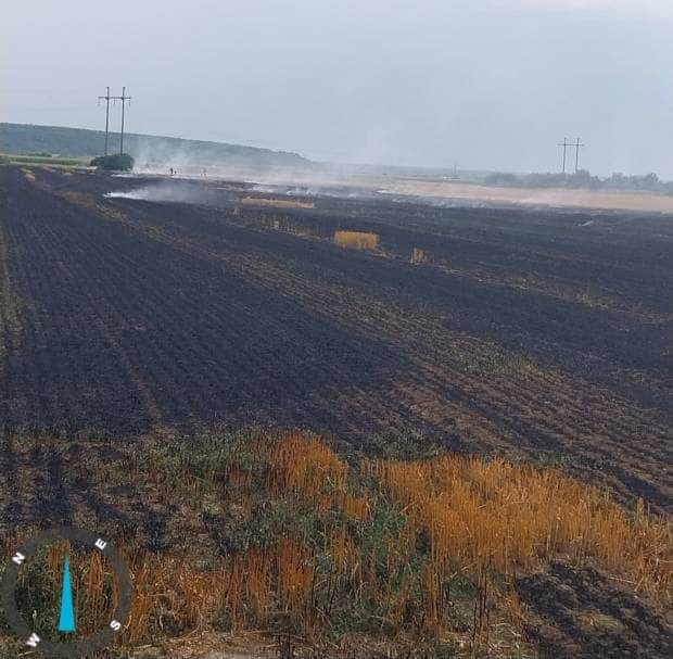 Incendiu pe o suprafață de aproximativ 10 ha la Leordeni