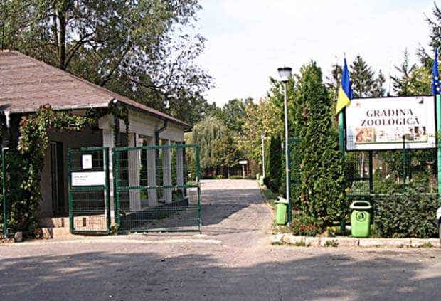 Grădina Zoologică din Pitești își prelungește programul de vizitare